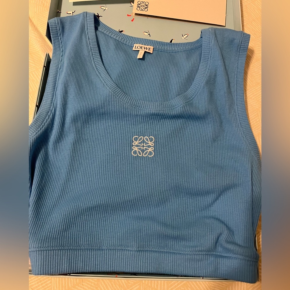 Loewe anagram crop Med size used once